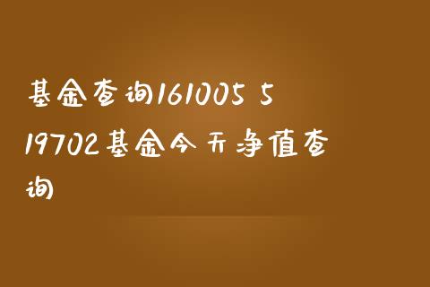 基金查询161005 519702基金今天净值查询