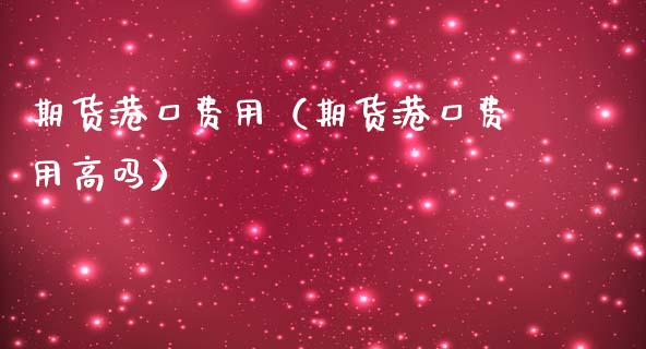 期货港口费用（期货港口费用高吗）