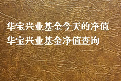 华宝兴业基金今天的净值 华宝兴业基金净值查询