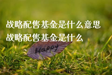 战略配售基金是什么意思 战略配售基金是什么