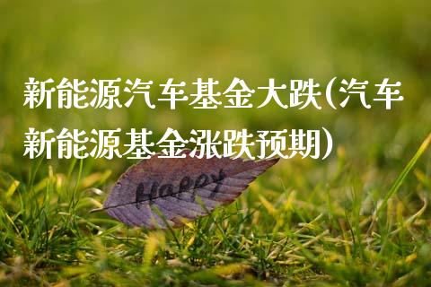 新能源汽车基金大跌(汽车新能源基金涨跌预期)