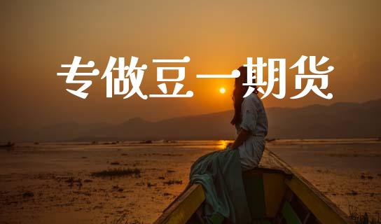 专做豆一期货