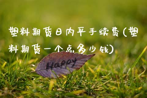 塑料期货日内平手续费(塑料期货一个点多少钱)