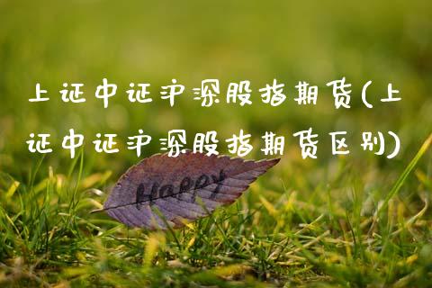 上证中证沪深股指期货(上证中证沪深股指期货区别)