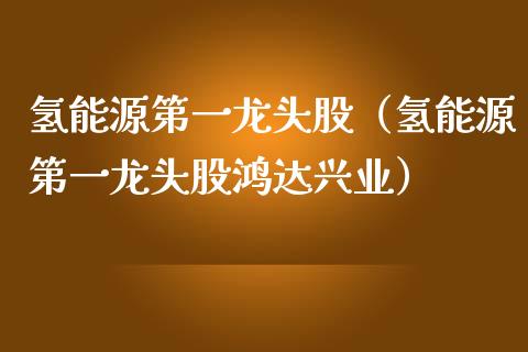 氢能源第一龙头股（氢能源第一龙头股鸿达兴业）