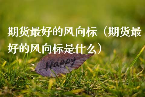 期货最好的风向标（期货最好的风向标是什么）