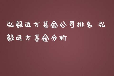 弘毅远方基金公司排名 弘毅远方基金分析_https://www.dglong8.com_基金理财_第1张