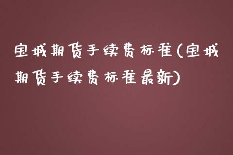 宝城期货手续费标准(宝城期货手续费标准最新)