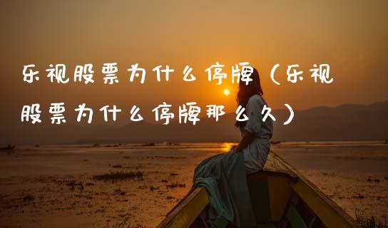 乐视股票为什么停牌（乐视股票为什么停牌那么久）