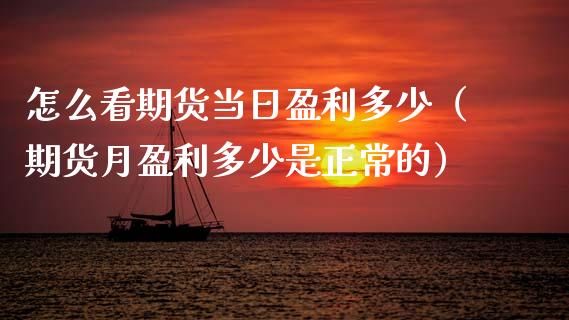 怎么看期货当日盈利多少（期货月盈利多少是正常的）