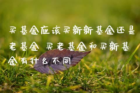 买基金应该买新新基金还是老基金 买老基金和买新基金有什么不同_基金理财_第1张_宇龙理财网 买基金应该买新新基金还是老基金 买老基金和买新基金有什么不同_https://www.dglong8.com_基金理财_第1张