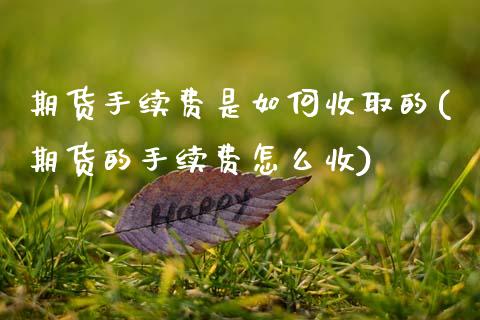 期货手续费是如何收取的(期货的手续费怎么收)