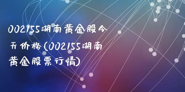 002155湖南黄金股今天价格(002155湖南黄金股票行情)