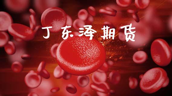 丁东泽期货