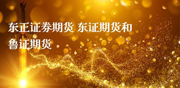 东正证券期货 期货和鲁证期货
