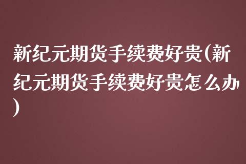 新纪元期货手续费好贵(新纪元期货手续费好贵怎么办)