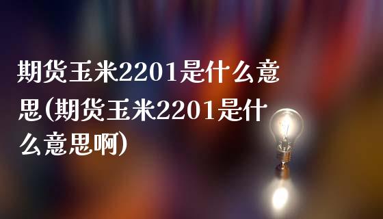 期货玉米2201是什么意思(期货玉米2201是什么意思啊)