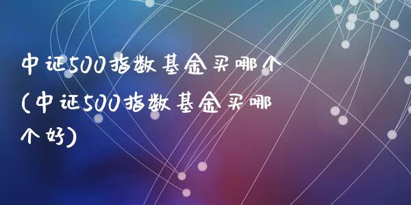 中证500指数基金买哪个(中证500指数基金买哪个好)