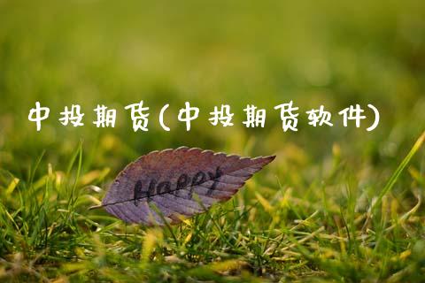 中投期货(中投期货软件)