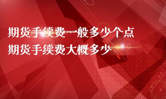 期货手续费一般多少个点 期货手续费大概多少