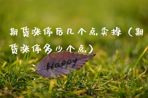 期货涨停后几个点卖掉（期货涨停多少个点）