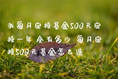我每月定投基金500元定投一年,会有多少 每月定投500元基金怎么选