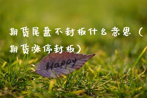 期货尾盘不封板什么意思（期货涨停封板）