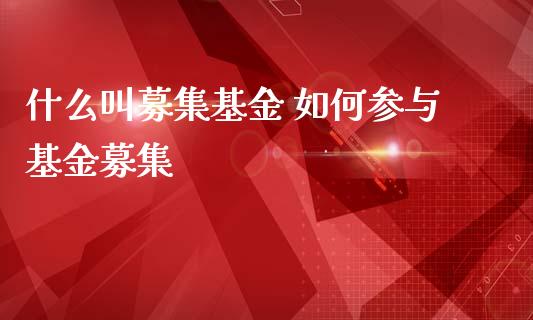 什么叫募集基金 如何参与基金募集_基金理财_第1张_宇龙理财网 什么叫募集基金 如何参与基金募集_https://www.dglong8.com_基金理财_第1张