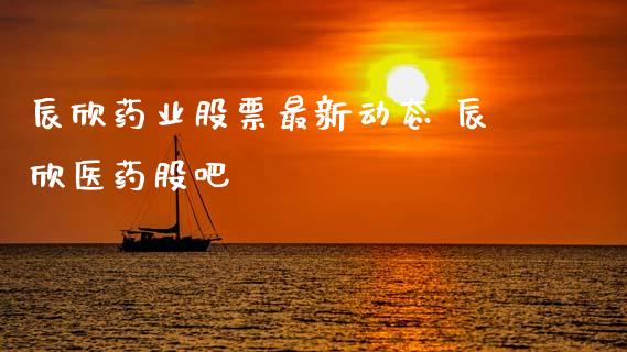 辰欣药业股票最新动态 辰欣医药股吧