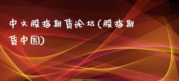 中文股指期货(股指期货中国)