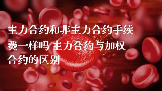 主力合约和非主力合约手续费一样吗 主力合约与加权合约的区别_https://www.dglong8.com_财经要闻_第1张