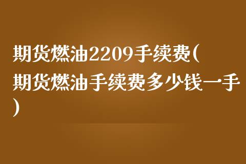 期货燃油2209手续费(期货燃油手续费多少钱一手)