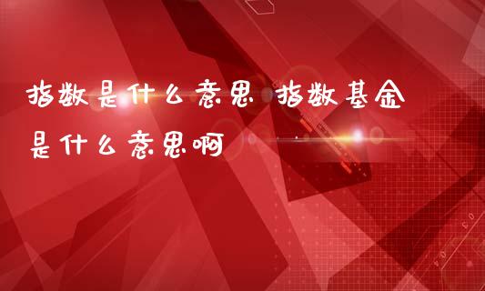 指数是什么意思 指数基金是什么意思啊