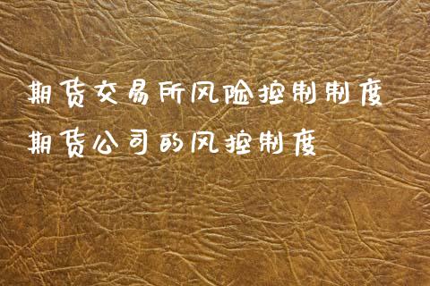 期货交易所风险控制制度 期货公司的风控制度