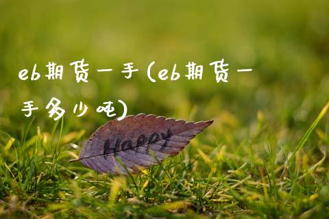 eb期货一手(eb期货一手多少吨)