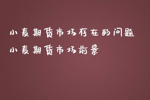 小麦期货市场存在的问题 小麦期货市场前景_https://www.dglong8.com_理财百科_第1张