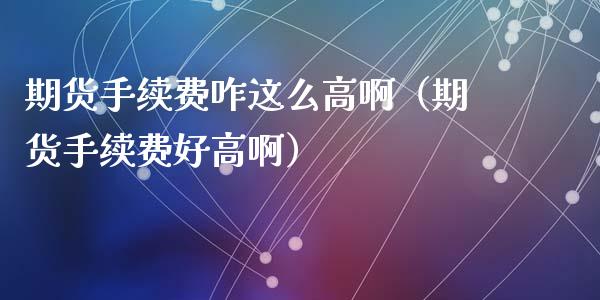 期货手续费咋这么高啊（期货手续费好高啊）