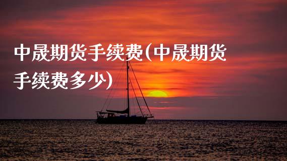 中晟期货手续费(中晟期货手续费多少)