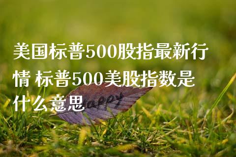 美国标普500股指最新行情 标普500美股指数是什么意思