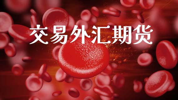 交易外汇期货
