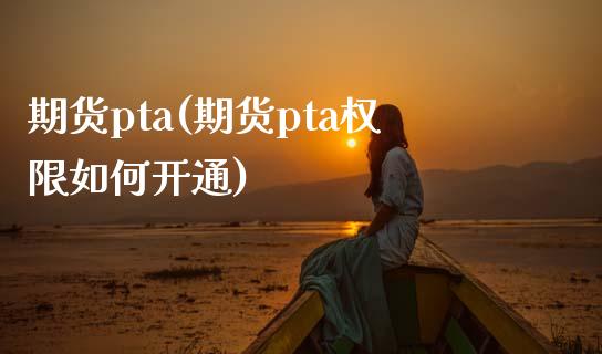 期货pta(期货pta权限如何开通)