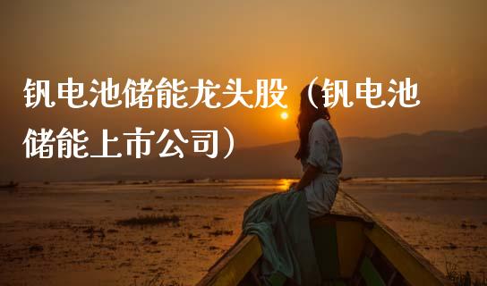 钒电池储能龙头股（钒电池储能上市公司）