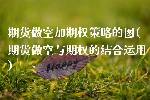 期货做空加期权策略的图(期货做空与期权的结合运用)