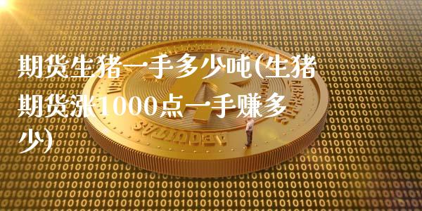 期货生猪一手多少吨(生猪期货涨1000点一手赚多少)
