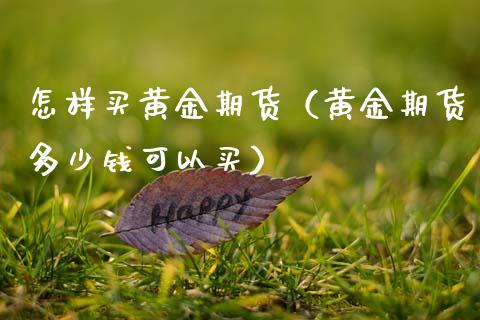 怎样买黄金期货（黄金期货多少钱可以买）