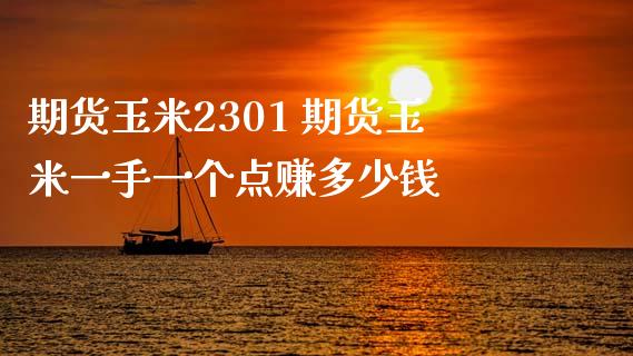 期货玉米2301 期货玉米一手一个点赚多少钱