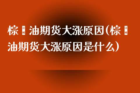 棕榈油期货大涨原因(棕榈油期货大涨原因是什么)
