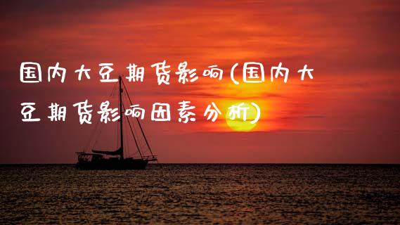 国内大豆期货影响(国内大豆期货影响因素分析)