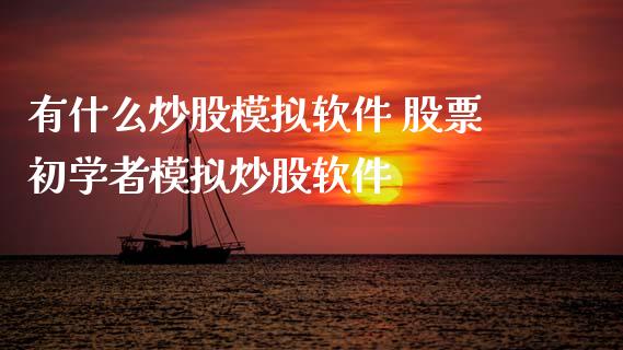 有什么炒股模拟软件 股票初学者模拟炒股软件