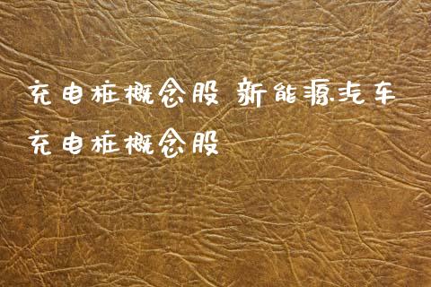 充电桩概念股 新能源汽车充电桩概念股